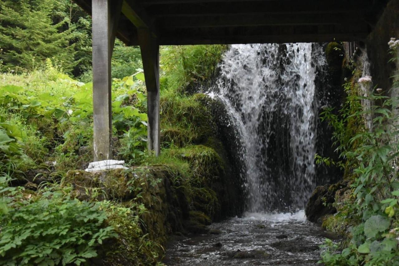 Wooden House With A Waterfall "Stipanov Mlin" Vila Plitvička Jezera Exterior foto